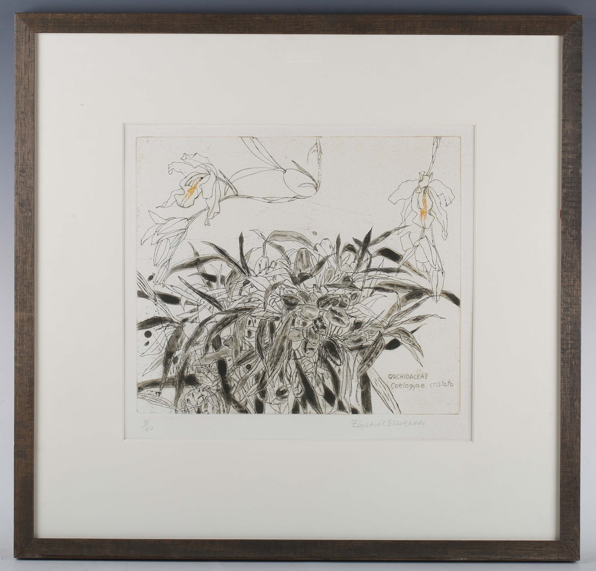 LOT 78