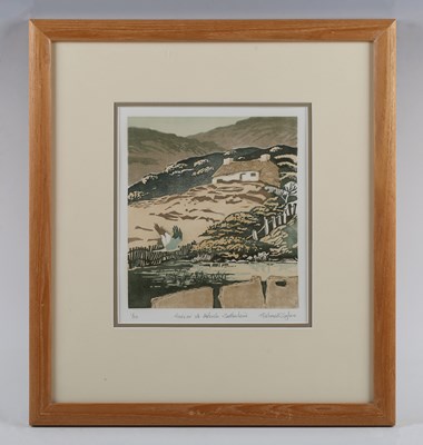 LOT 76
