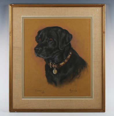 LOT 249
