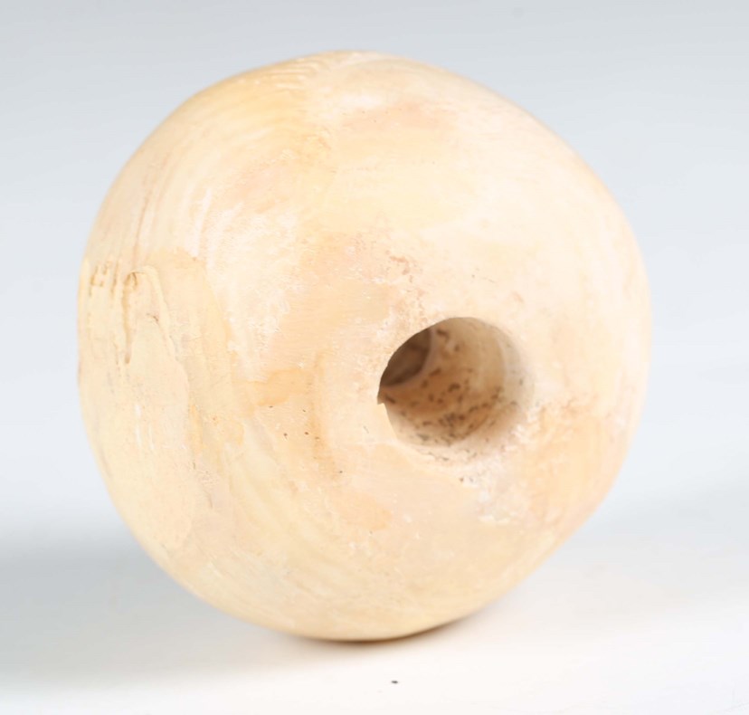 LOT 2346
