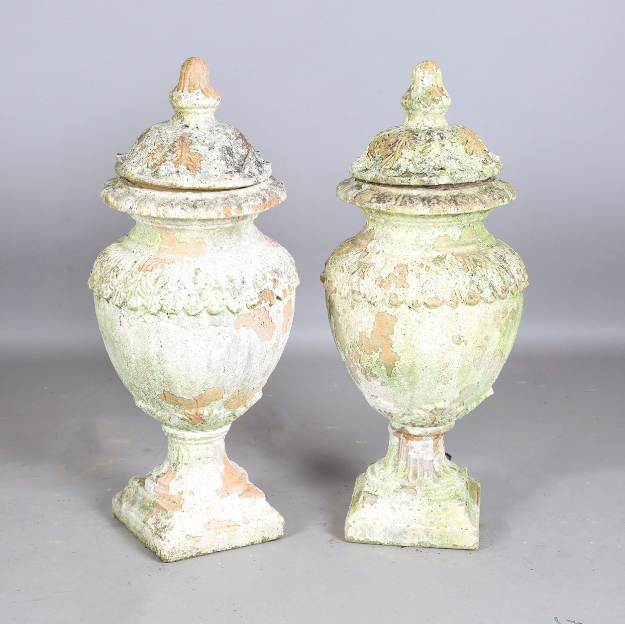 LOT 2562