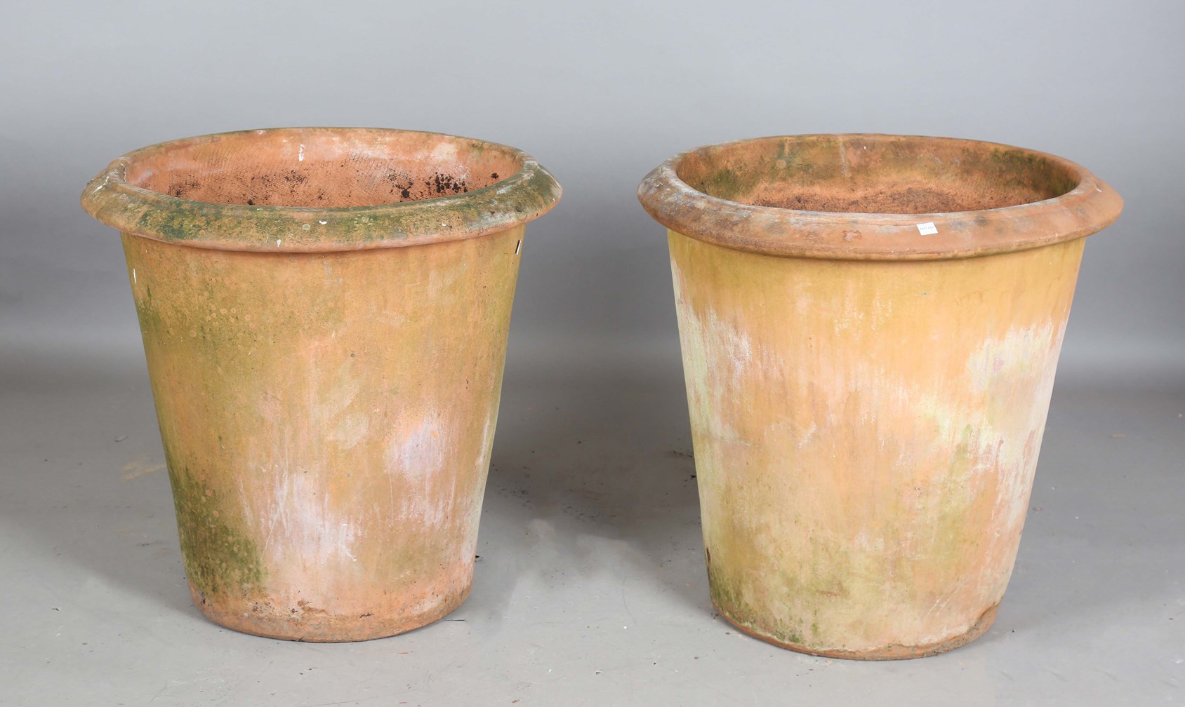 LOT 2563