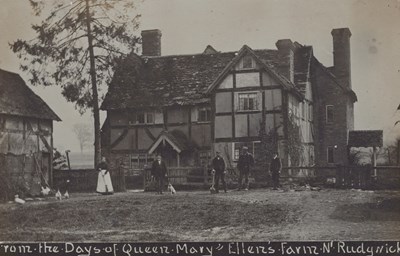 LOT 3199
