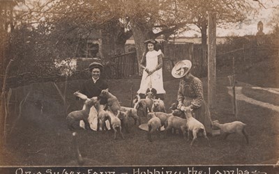 LOT 3204