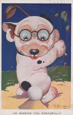 LOT 3243