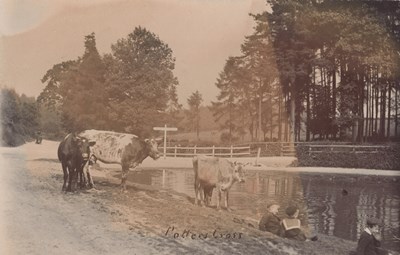 LOT 3262