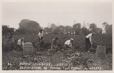 LOT 3287