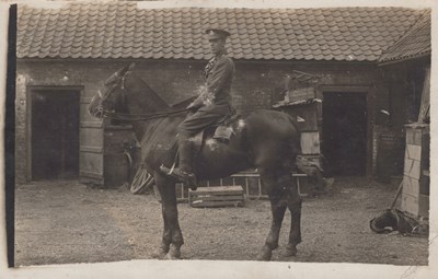 LOT 3302