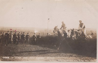 LOT 3315