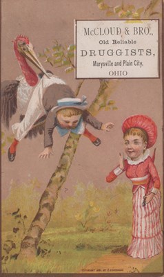 LOT 3381