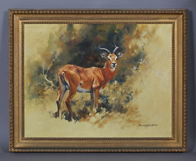 LOT 71
