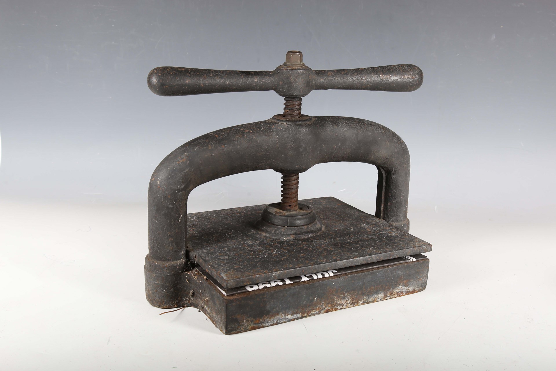 LOT 2537