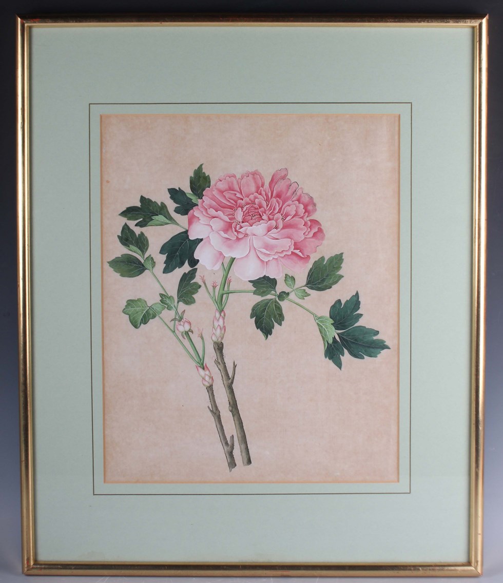 LOT 1279