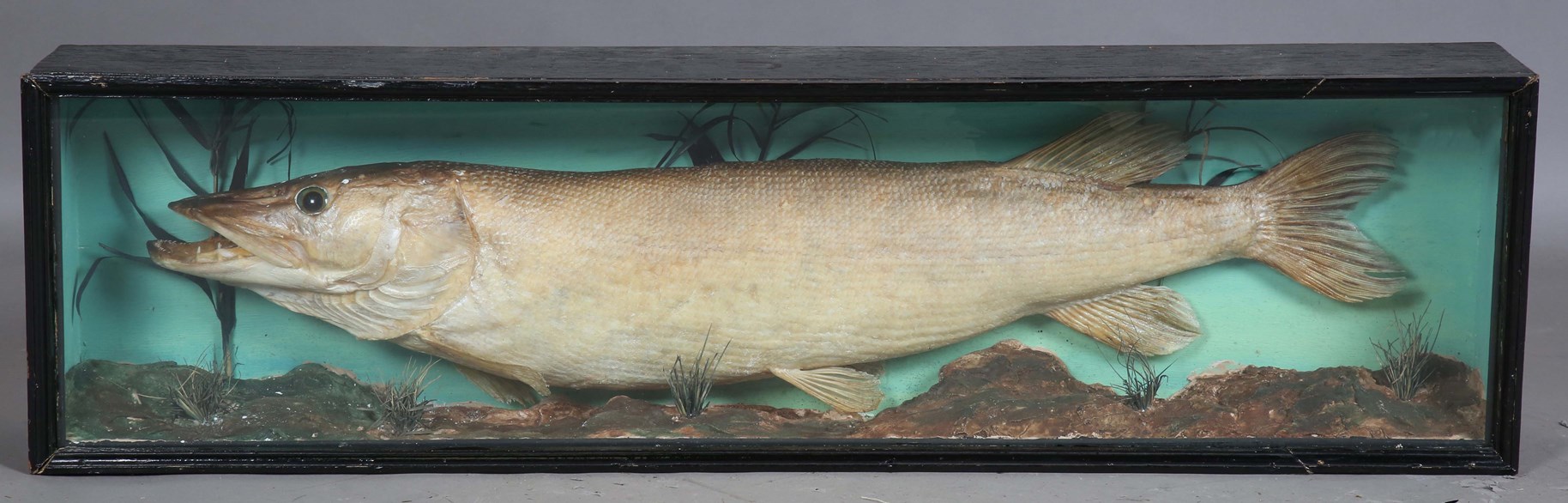 LOT 2573