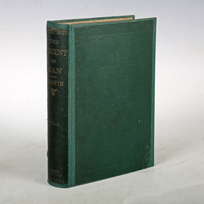 LOT 3124