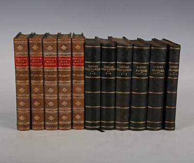 LOT 3127