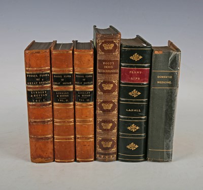 LOT 3149