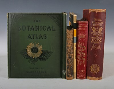 LOT 3181