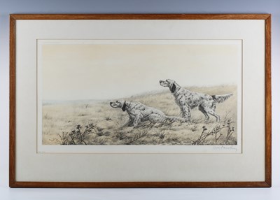 LOT 51