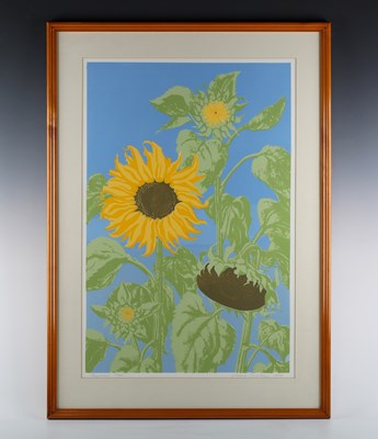 LOT 65
