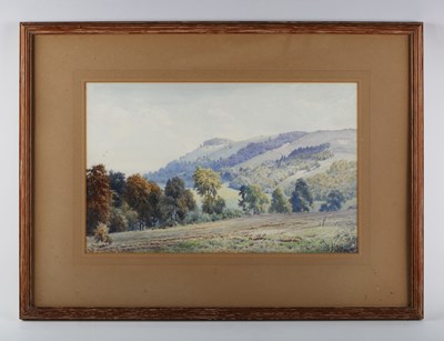 LOT 172