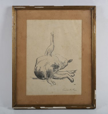 LOT 207