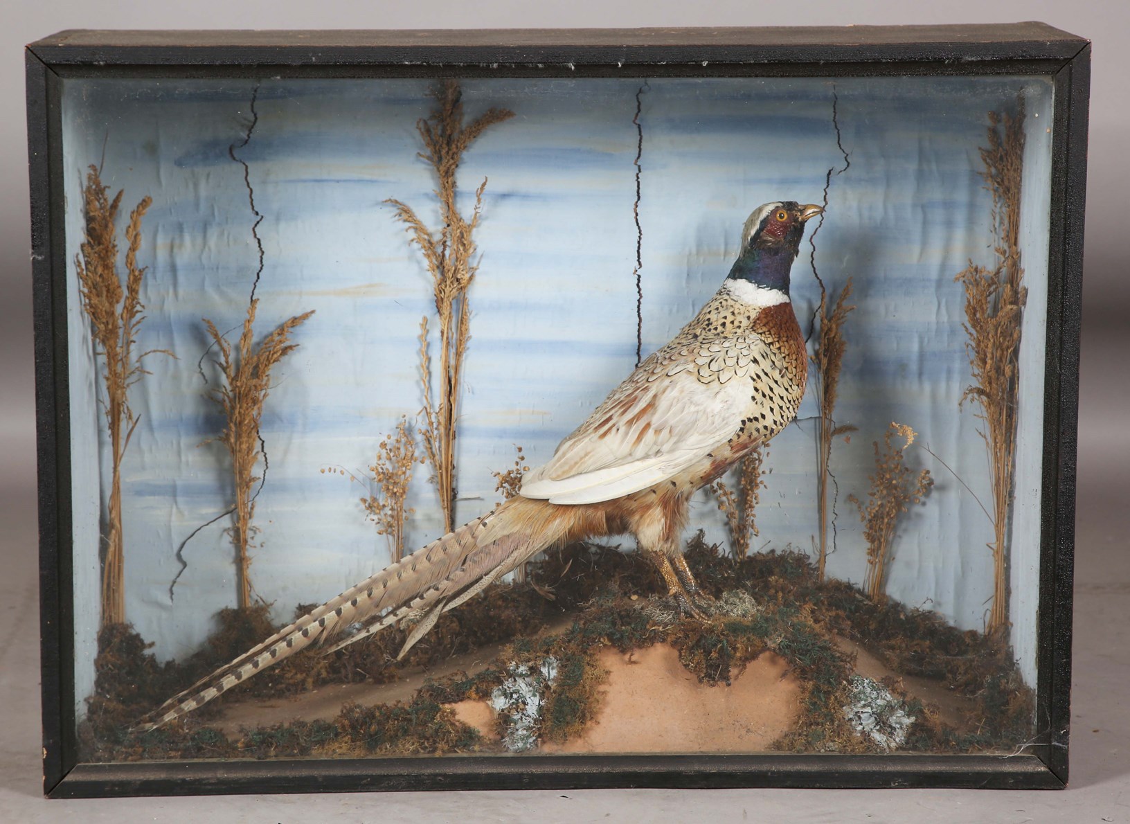 LOT 2596