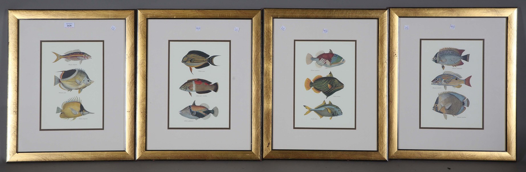 LOT 2628