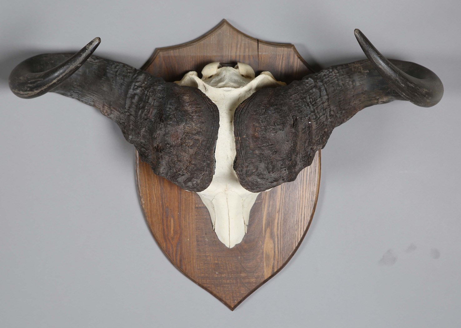 LOT 2642