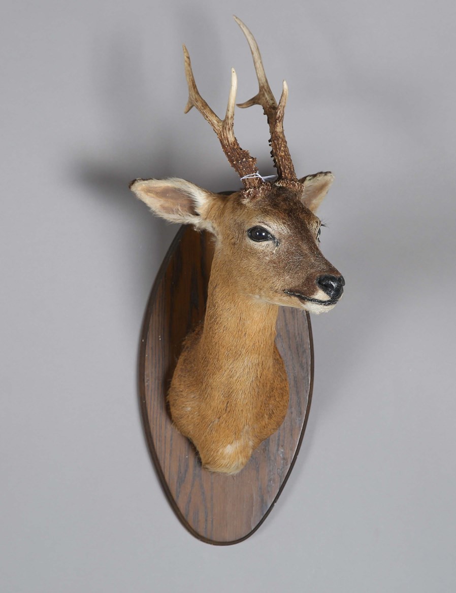 LOT 2643