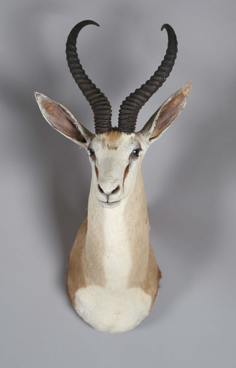 LOT 2644