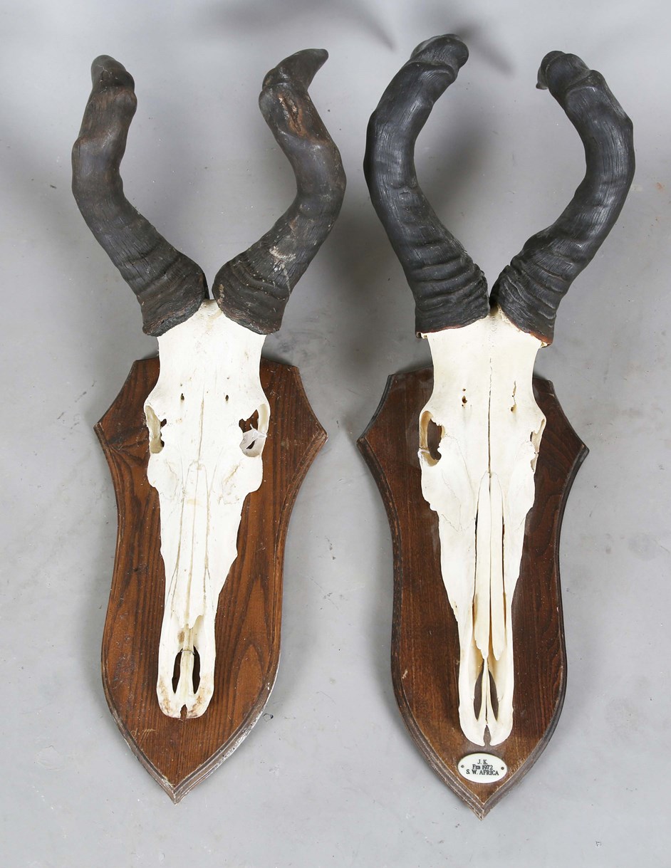 LOT 2646