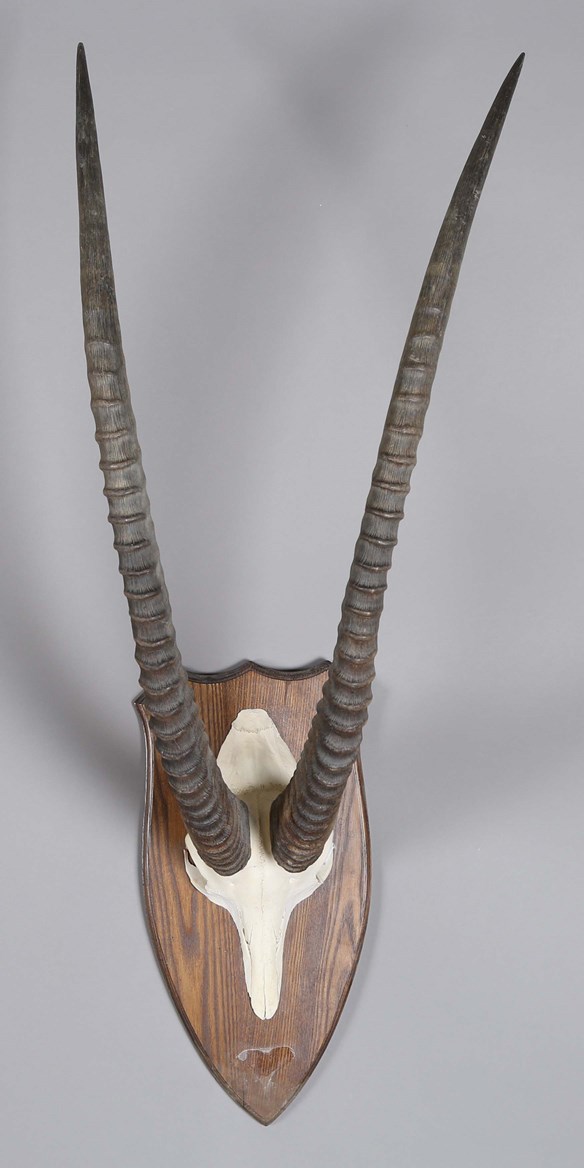 LOT 2647