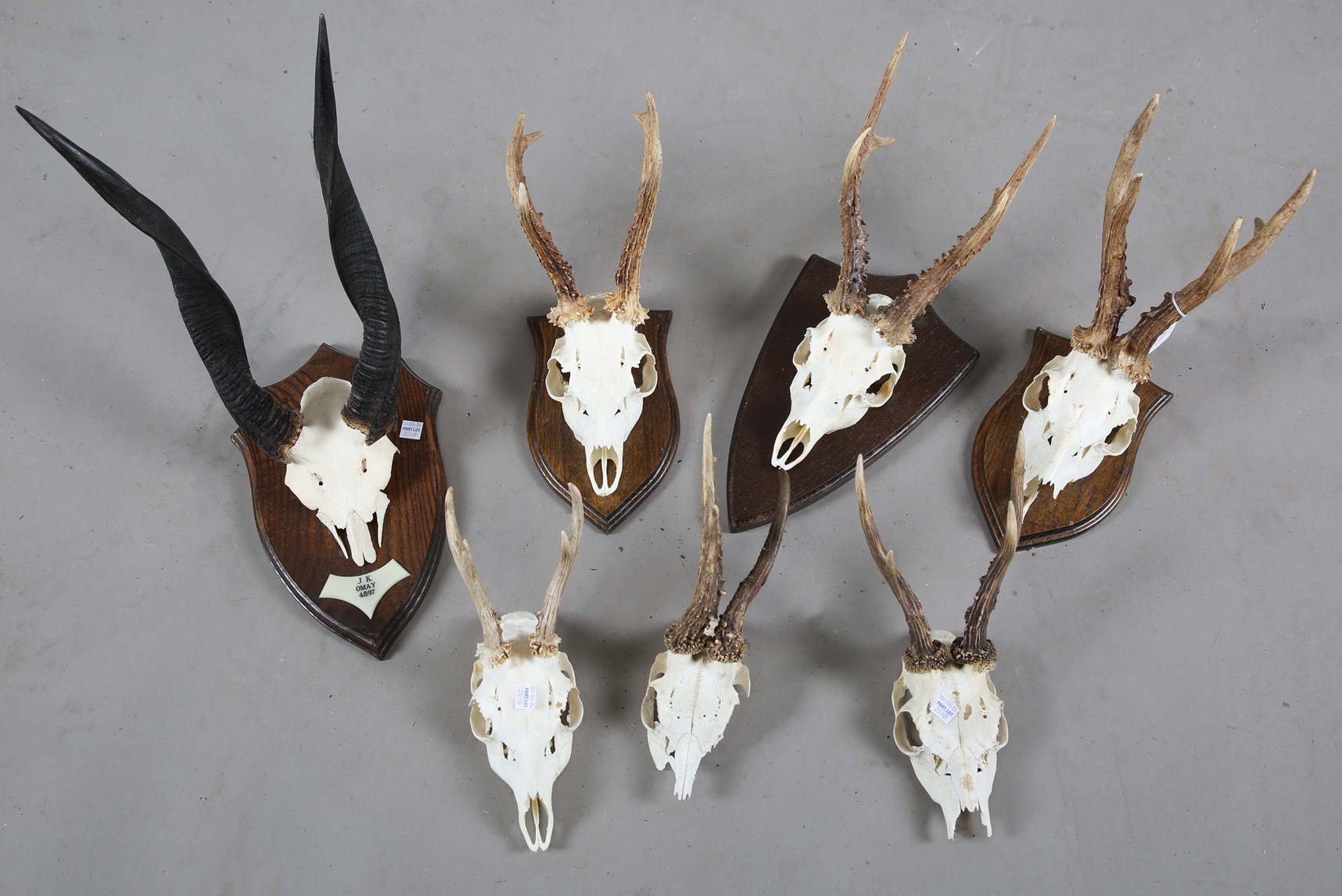 LOT 2650