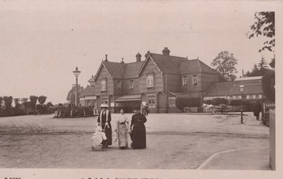 LOT 3135