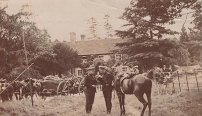 LOT 3159