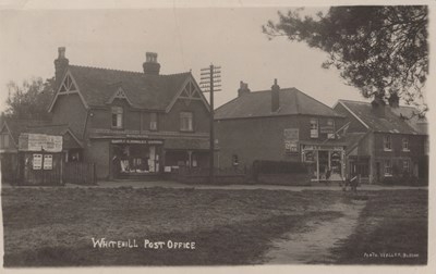LOT 3160