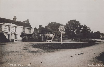 LOT 3161