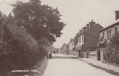 LOT 3164