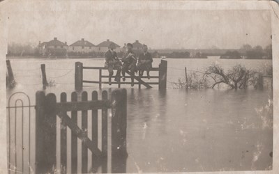 LOT 3168