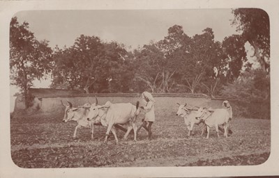 LOT 3179