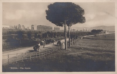 LOT 3215