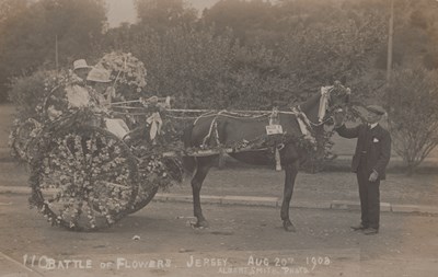 LOT 3239