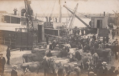 LOT 3242