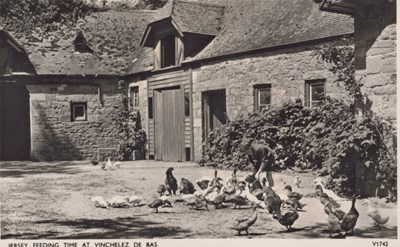 LOT 3249