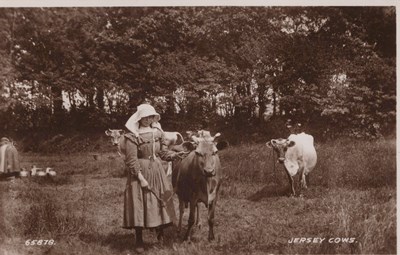 LOT 3250