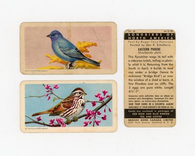 LOT 3260