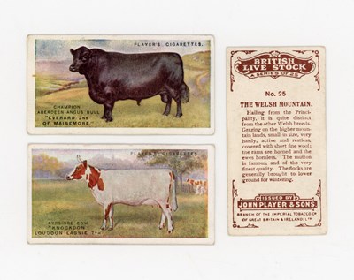 LOT 3263