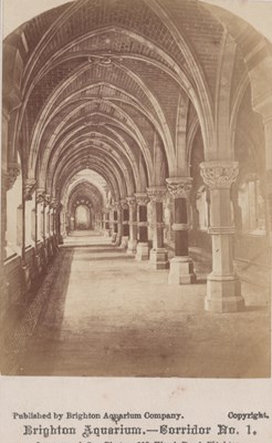 LOT 3269