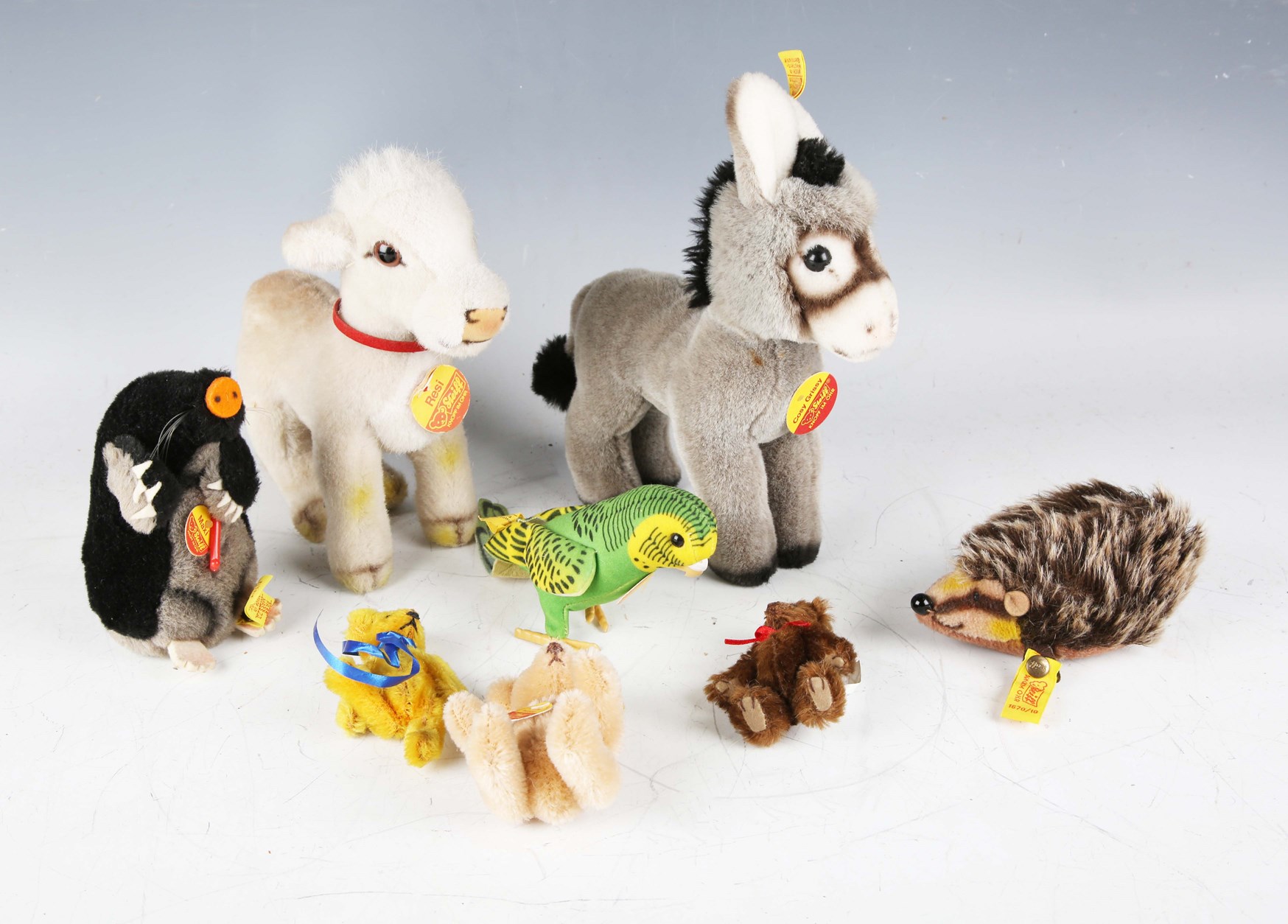 LOT 254